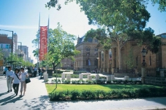 North Terrace - home of the South Australian Museum and the Art Gallery of South Australia